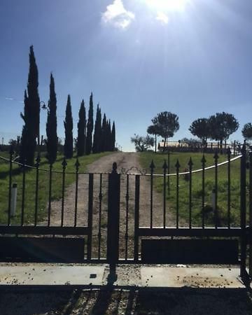 Agriturismo Casale San Benedetto 세리 외부 사진