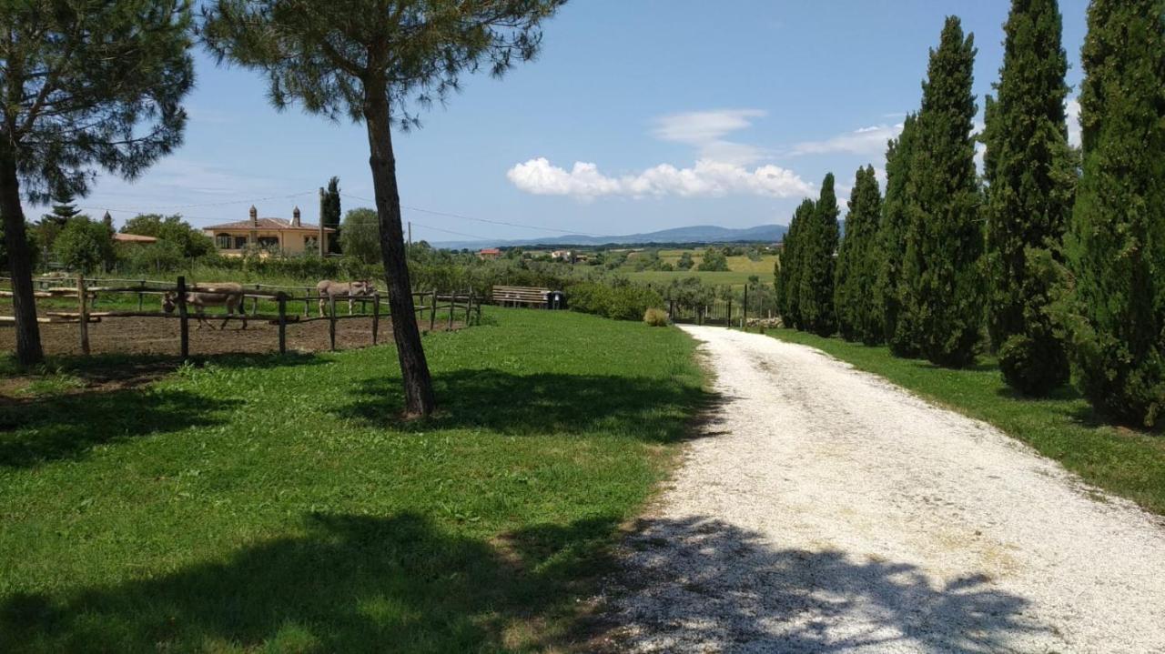 Agriturismo Casale San Benedetto 세리 외부 사진