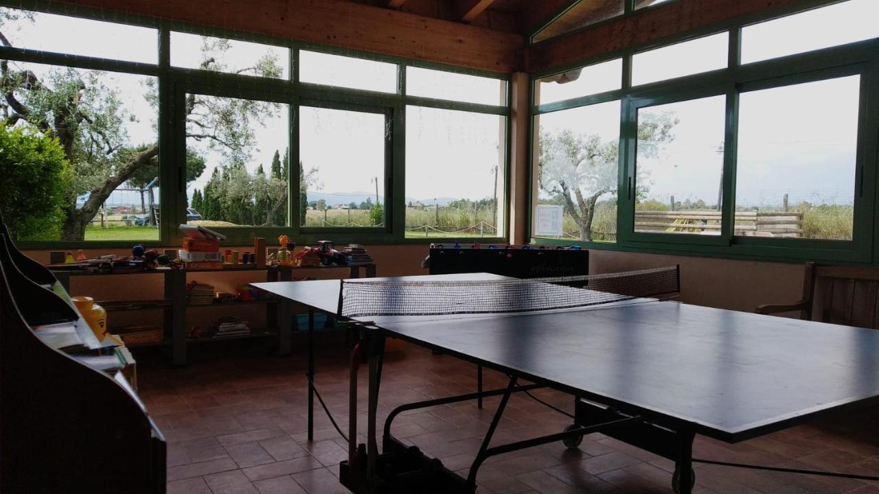 Agriturismo Casale San Benedetto 세리 외부 사진